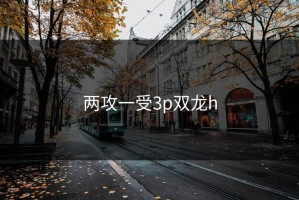 两攻一受3p双龙h