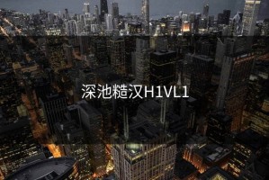 深池糙汉H1VL1