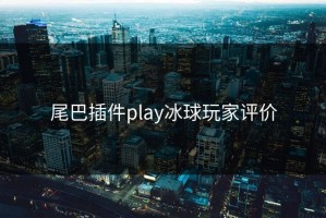尾巴插件play冰球玩家评价
