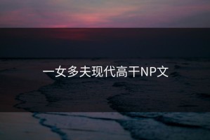 一女多夫现代高干NP文