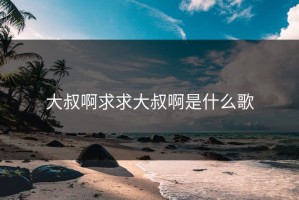 大叔啊求求大叔啊是什么歌