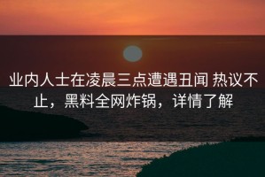 业内人士在凌晨三点遭遇丑闻 热议不止，黑料全网炸锅，详情了解