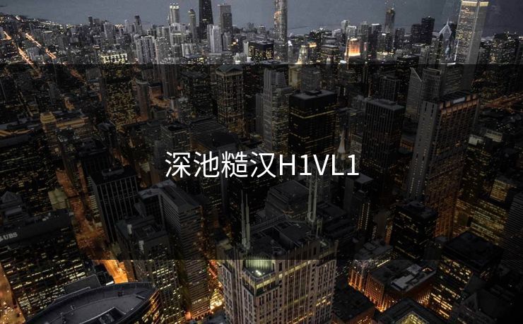 深池糙汉H1VL1 深池糙汉H1VL1