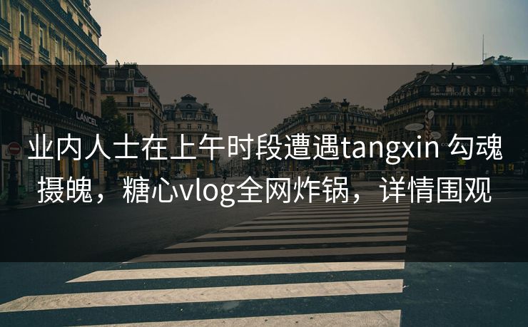 业内人士在上午时段遭遇tangxin 勾魂摄魄，糖心vlog全网炸锅，详情围观